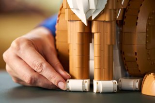 LEGO Ideas 21376 - Rudy kot