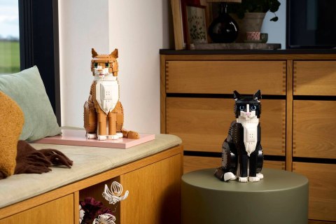 LEGO Ideas 21376 - Rudy kot