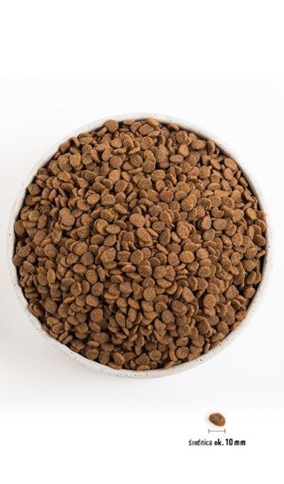 ORIJEN Cat & Kitten 1,8kg