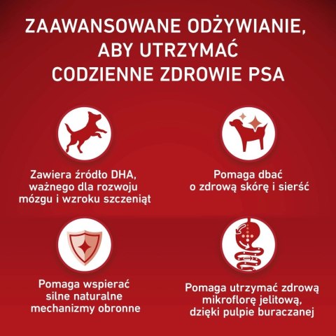 PURINA ONE MED/MAX Junior Chicken & Rice 2,5kg