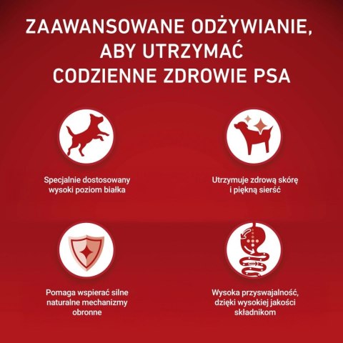 PURINA ONE MINI Dog Adult Beef & Rice 1,5kg