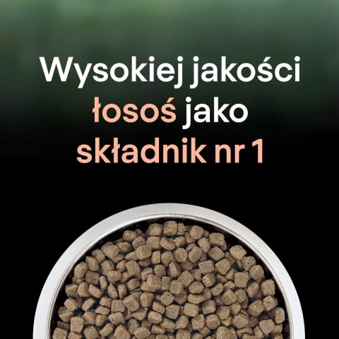 PURINA PRO PLAN LIVECLEAR STERILISED ADULT Bogata w Łososia 1,4kg