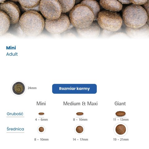 FARMINA N&D Ocean Dog Salmon, Cod, Cantaloupe, Melon Adult Mini - sucha karma dla psa - 800 g