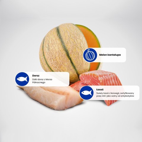 FARMINA N&D Ocean Dog Salmon, Cod, Cantaloupe, Melon Adult Mini - sucha karma dla psa - 800 g