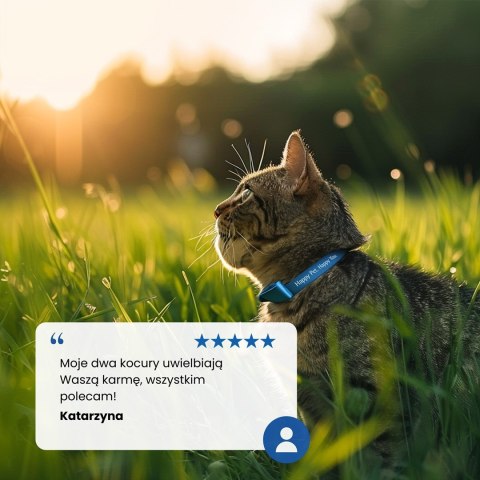 FARMINA N&D Prime Boar & Apple - mokra karma dla kota - 70 g