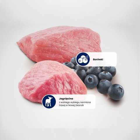 FARMINA N&D Prime Lamb & Blueberry Adult - sucha karma dla kota - 5kg