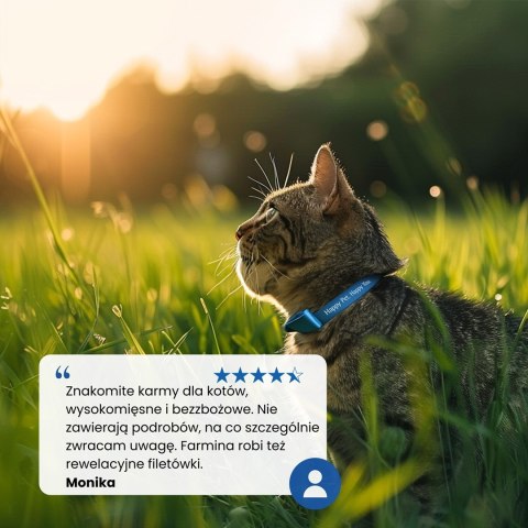 FARMINA N&D Prime Lamb & Blueberry Adult - sucha karma dla kota - 5kg