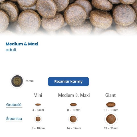 FARMINA N&D Prime Wild Boar & Apple Adult Medium & Maxi - sucha karma dla psa - 12kg