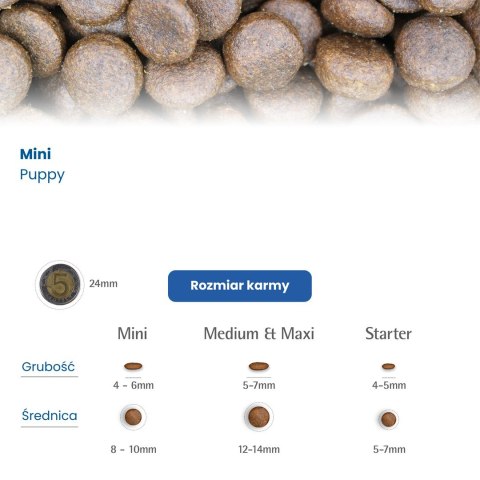 FARMINA N&D Pumpkin Lamb & Blueberry Puppy Mini - sucha karma dla szczeniąt - 2,5 kg