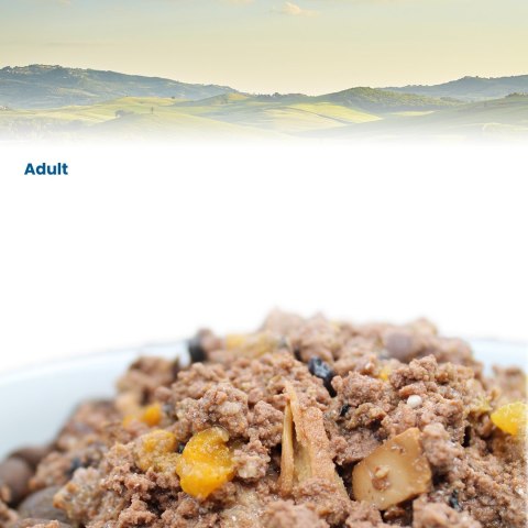 FARMINA N&D Pumpkin Lamb, Pumpkin & Blueberry - mokra karma dla kota - 70 g