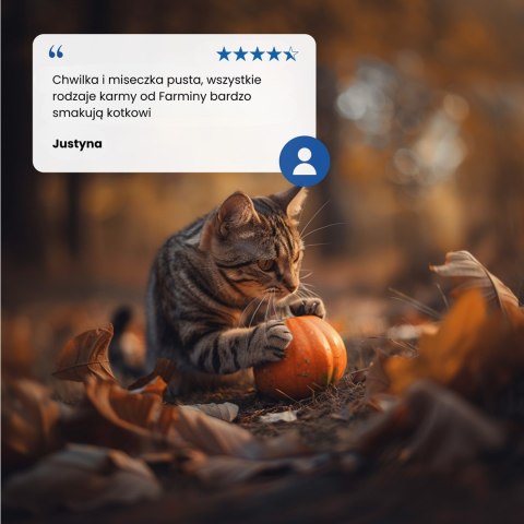 FARMINA N&D Pumpkin Venison & Pumpkin - mokra karma dla kota - 70 g