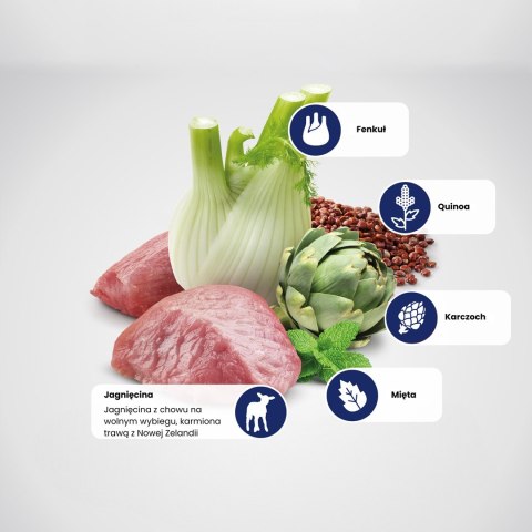 FARMINA N&D Quinoa Digestion - sucha karma dla kota - 1,5kg