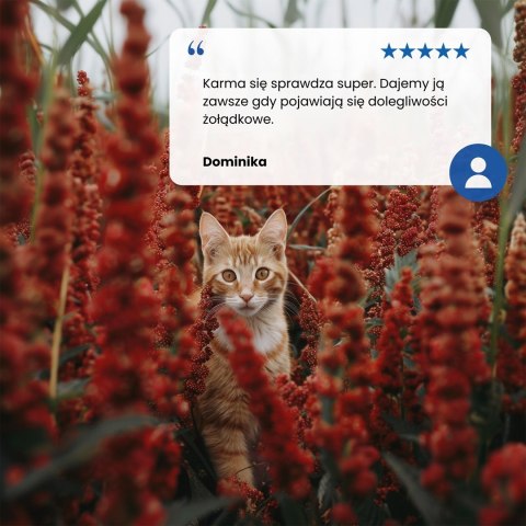 FARMINA N&D Quinoa Digestion - sucha karma dla kota - 1,5kg