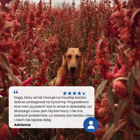 FARMINA N&D Quinoa Dog Digestion Adult Mini - sucha karma dla psa - 800 g