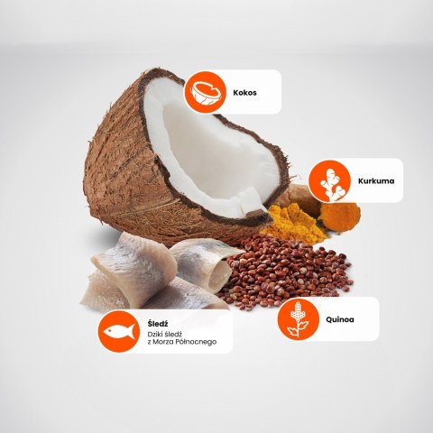 FARMINA N&D Quinoa Skin&Coat Cat Herring and Coconut Adult - sucha karma dla kota - 300 g