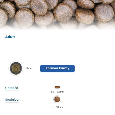 FARMINA N&D Quinoa Skin&Coat Cat Herring and Coconut Adult - sucha karma dla kota - 300 g