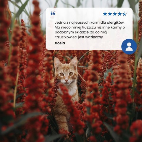 FARMINA N&D Quinoa Skin&Coat Cat Herring and Coconut Adult - sucha karma dla kota - 300 g