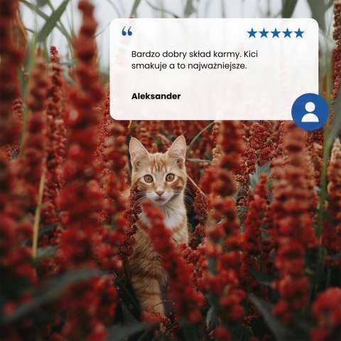 FARMINA N&D Quinoa Weight Management Lamb - sucha karma dla kota - 5kg