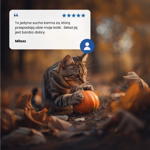 Farmina N&D Pumpkin Neutered sucha karma z przepiórką dla kotów po zabiegu kastracji 5kg