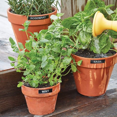 Drukarka etykiet Dymo LM 160 Value Pack +3xS0720530 taśma D1 czarna/biała 12mm