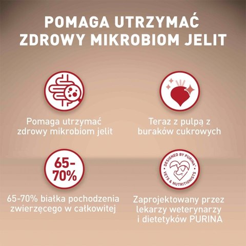 Purina Karma One Mini Active bogata w kurczaka z ryżem 800g