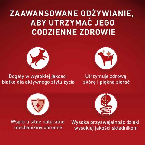 Purina Karma One Mini Active bogata w kurczaka z ryżem 800g