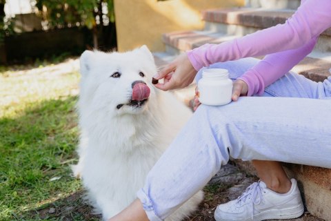 VIRBAC MOVOFLEX miękkie krokiety na stawy dla psa M