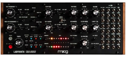 MOOG Labyrinth - Syntezator Analogowy
