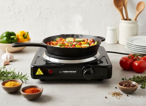 Kuchenka Esperanza St. Helens EKH003K (1 pole grzejne; 1000W)