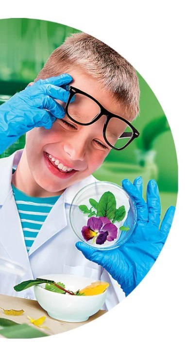 Zestaw Naukowa Zabawa Super Mikroskop Język Polski Clementoni 50755