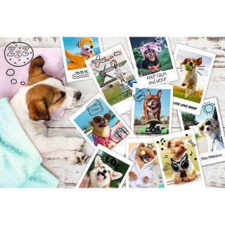 Puzzle - 300 - Zdjęcia z wakacji - Trefl 23003