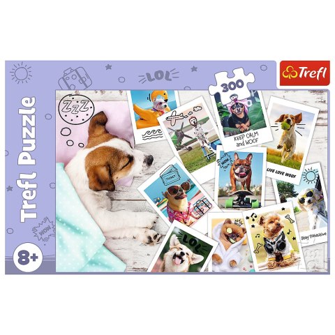 Puzzle - 300 - Zdjęcia z wakacji - Trefl 23003