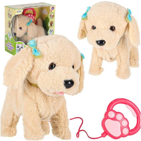 Piesek interaktywny na smyczy szczeka chodzi rusza ogonem Pudel