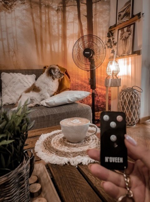 Wentylator stojący NOVEEN F455 Pilot