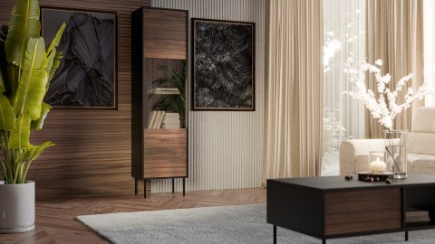 Witryna CORTINA 53x40x182 czarny/orzech