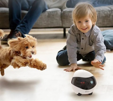 Robot ENABOT Ebo SE Biało-czarny