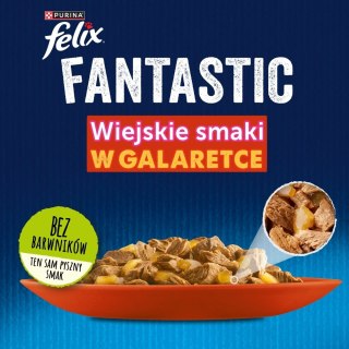 PURINA FELIX FANTASTIC Mix Wiejskie smaki 120x85g