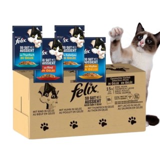 PURINA Felix MIX Smaków - mokra karma dla kota - 120x85 g