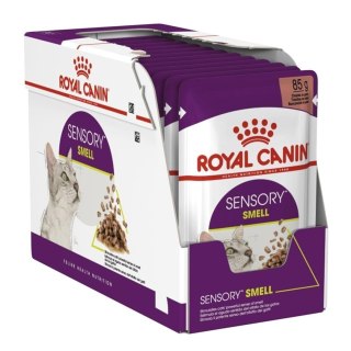 Karma Royal Canin Sensory Smell gravy 12x85g