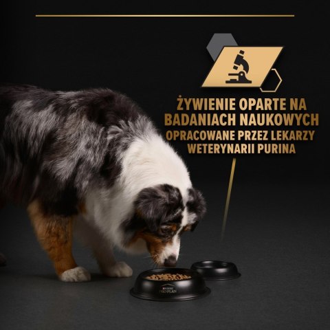 PURINA PRO PLAN ADULT Dog Ryba w galarecie 400gr