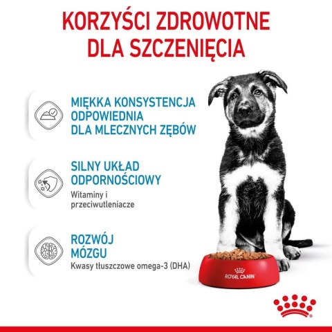 ROYAL CANIN SHN Maxi Puppy w sosie 10X140G