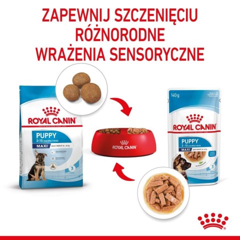 ROYAL CANIN SHN Maxi Puppy w sosie 10X140G