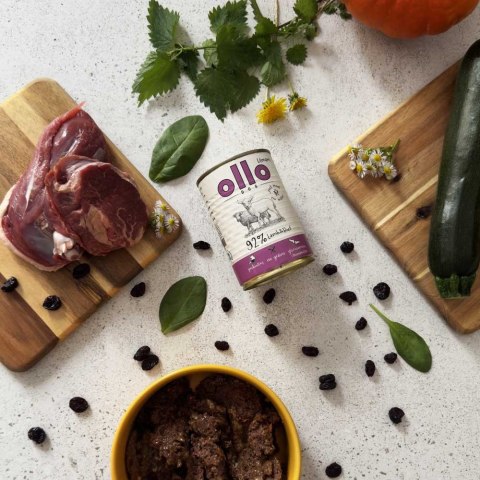 Ollo Umami Jagniecina i Wołowina 850g