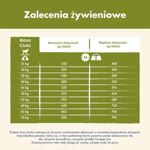 PURINA DOG CHOW Adult Large Breed - sucha karma dla psa - 14kg