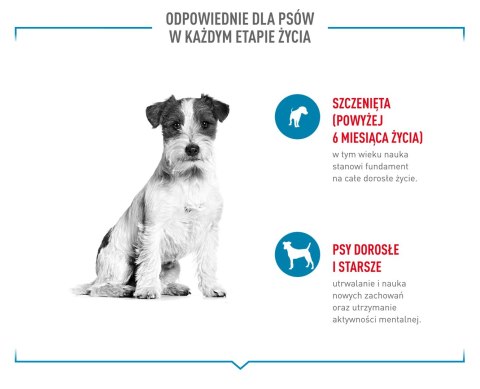 ROYAL CANIN Training Treat Dog 110g