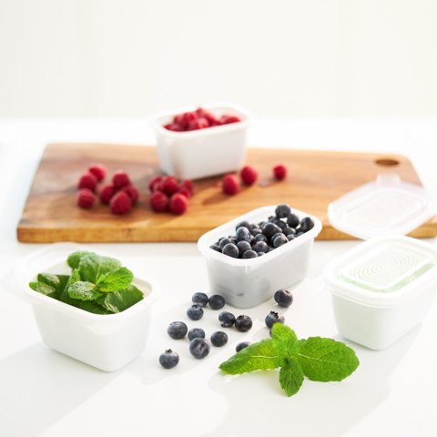 Rotho Freeze zestaw pojemników do mrożenia 6 x 0,25l