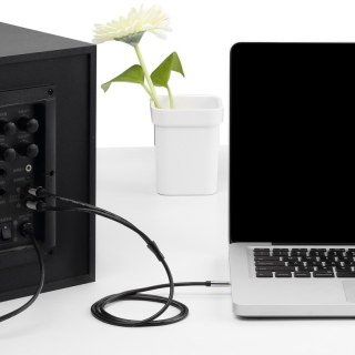 Kabel audio 3,5 mm męski na 2RCA męski 2 m czarny