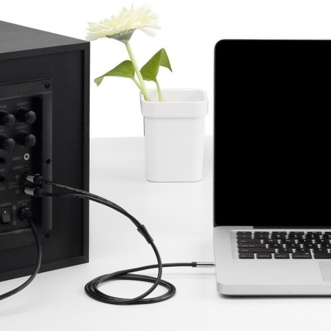 Kabel audio 3,5 mm męski na 2RCA męski 2 m czarny