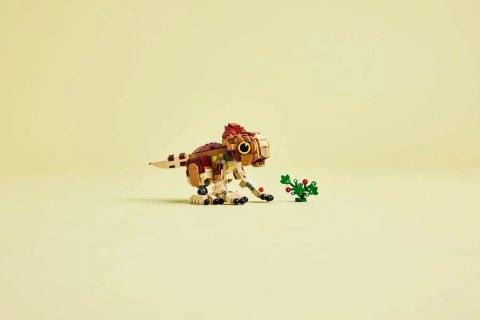 LEGO Jurassic World 76970 Mały dinozaur Dolores: aquilops